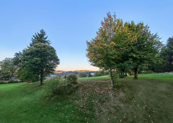 Apartment Chill Zone